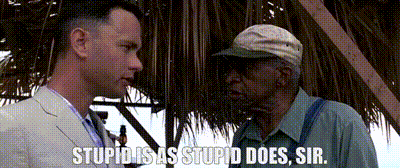 Stupid Is As Stupid Does Sir GIF