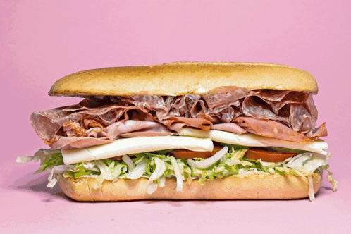Sub Sandwich With Meat and Cheese