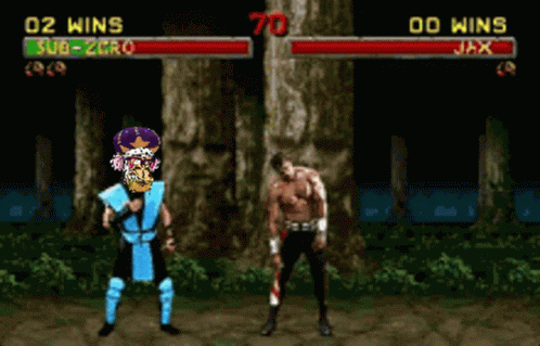 Sub Zero Fatality GIF