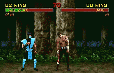 Sub Zero Wins Fatality GIF