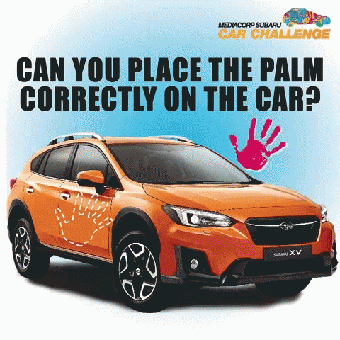 Subaru Car With Palm Placed On It