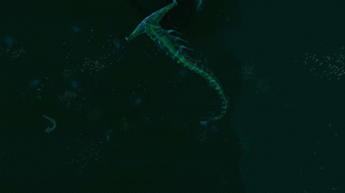 Subnautica Ghost Leviathan Scary Wiggle GIF