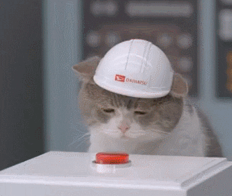 Subscribe Button Cat Causing Explosion Meme GIF