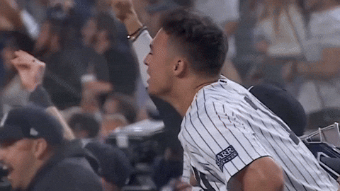 Subway Series Anthony Volpe Excited Screams GIF