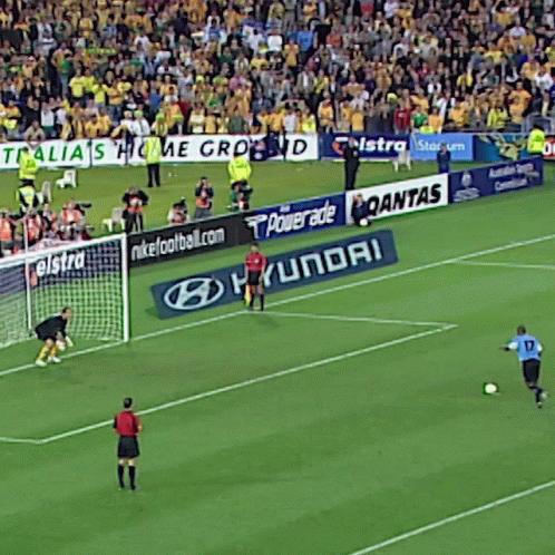 Successfully Defended Penalty Kicks GIF