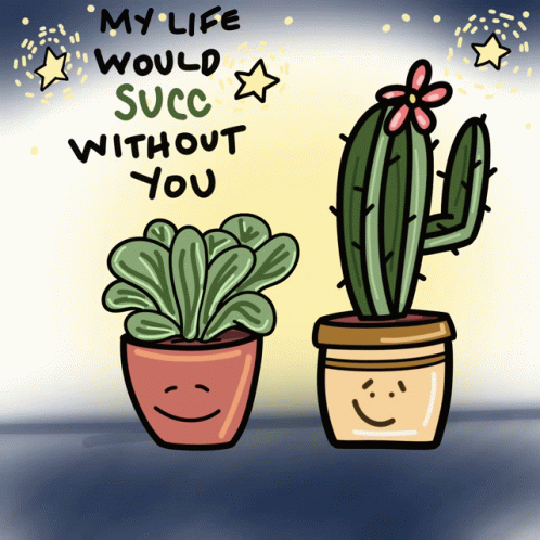 Succulent Besties Punch Lines GIF