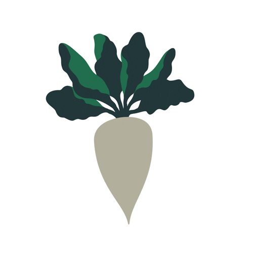 Sugar Beet Farming GIF