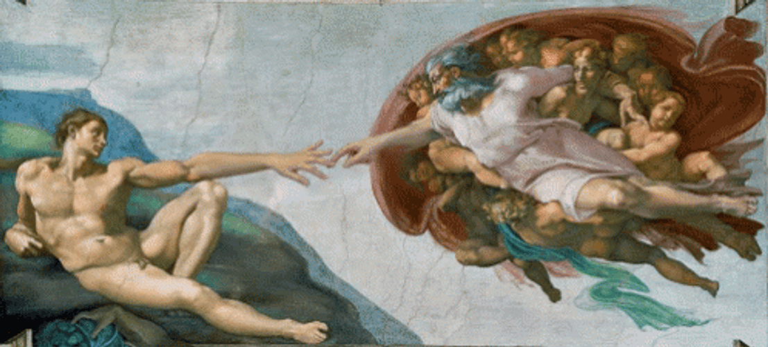 Suh Dude GIF