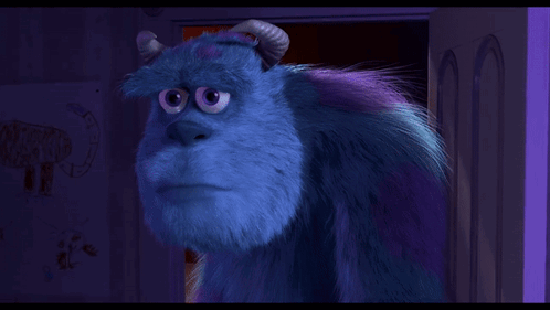 Sulley Close Up