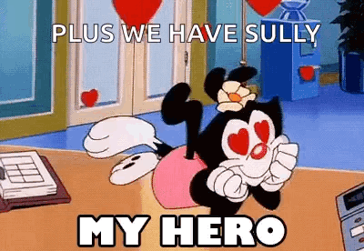 Sully Sitting on Table Saying My Hero