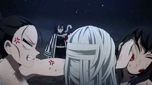 Suma And Hinatsuru Fighting In Front Obanai GIF