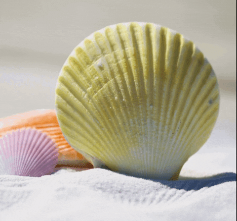 Summer August Happy Summer GIF