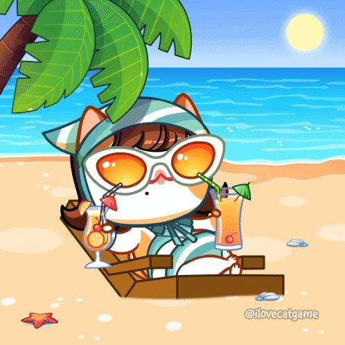 Summer Time Cool Cat GIF