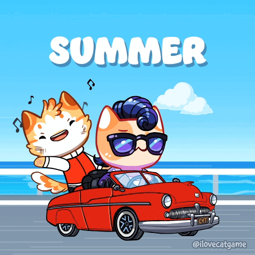 Summer Time Couple Cat Driving Fun GIF