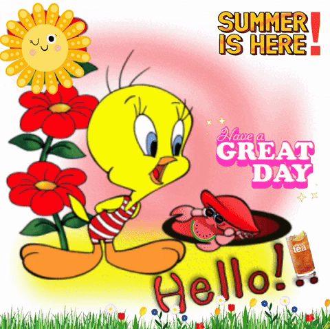 Summer Time Hello Tweety GIF