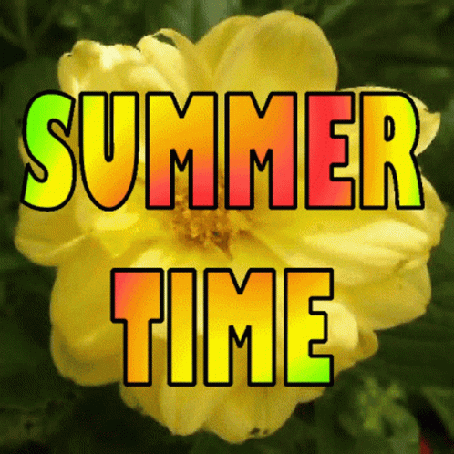 Summer Time Neon Color Logo GIF