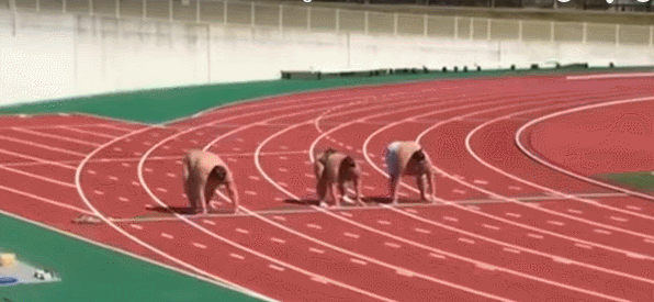 Sumo Wrestlers Racing GIF