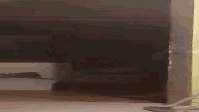 Sun Majer Voice Ja Na Ceste Do Voice Gif GIF