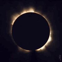 Sun Partially Obscured by Moon Solar Eclipse