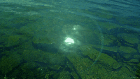 Sun Reflection On Water GIF