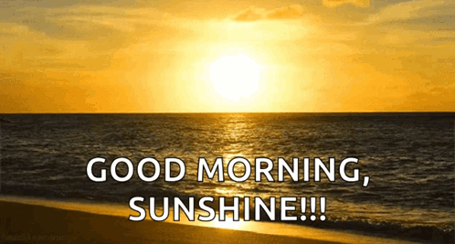 Sun Setting Over Ocean Says Good Morning Sunshine GIF