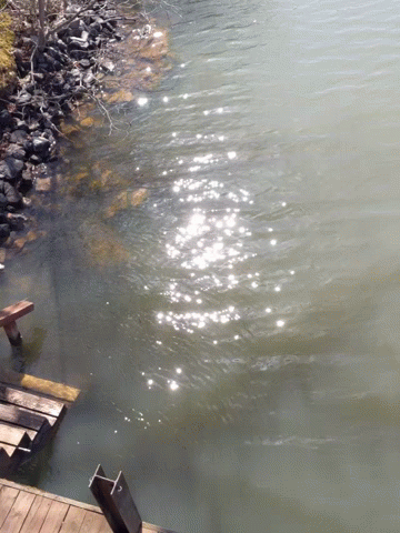 Sun Shining Through Water by Wooden Pier