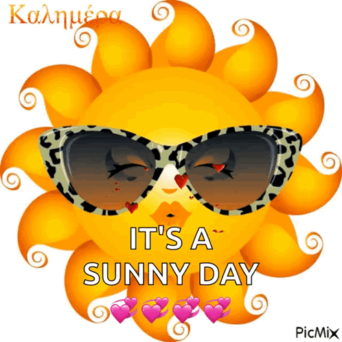 Sun Wearing Sunglasses It's a Sunny Day