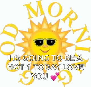 Sun Wearing Sunglasses Surrounded by Morning Love