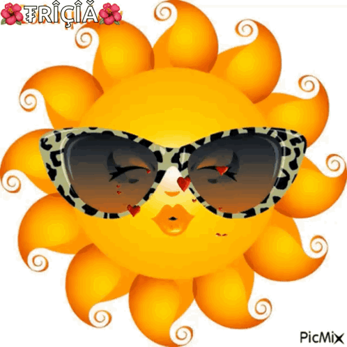 Sun Wearing Sunglasses With Fricia