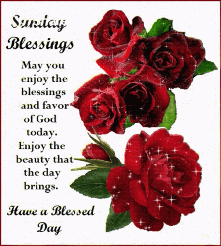 Sunday Blessings And Favor GIF