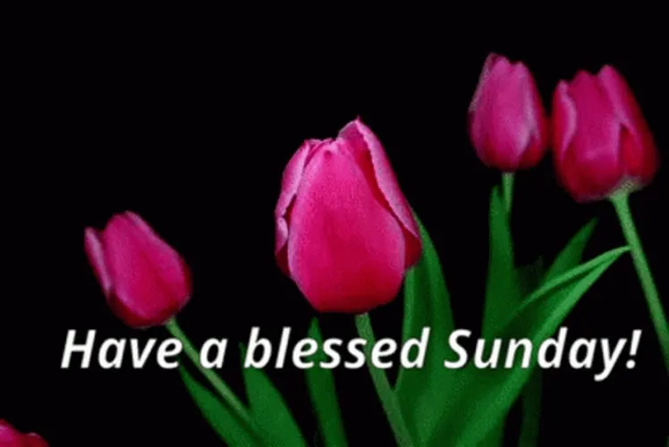 Sunday Blessings