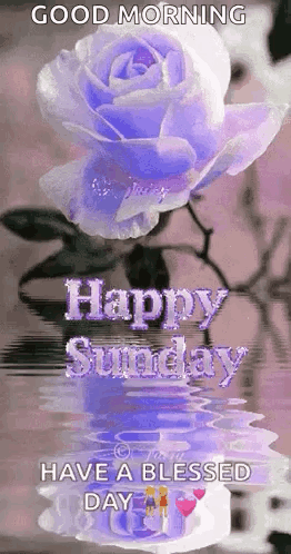 Sunday Blessings Have a Blessed Day Card