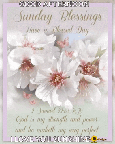 Sunday Blessings Have a Blessed Day