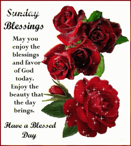 Sunday Blessings May You Enjoy The Blessings And Favor Of God Today Enjoy The Beauty That The Day Brings And Have A Bles GIF