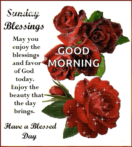 Sunday Blessings May You Enjoy The Blessings And Favor Of God Today . Enjoy The Beauty That The Day Brings Have A Blesse GIF