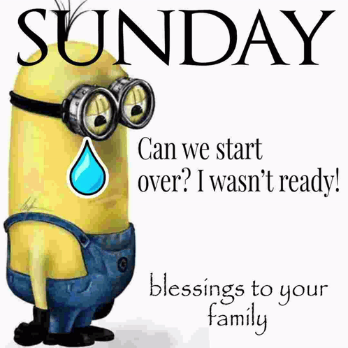 Sunday Can We Start Over ? I Wasn 'T Ready ! GIF