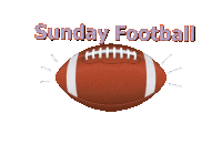 Sunday Football Sticker GIF