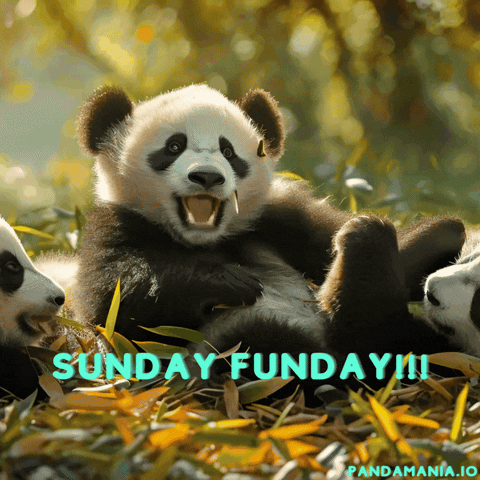 Sunday Funday Panda Talking GIF