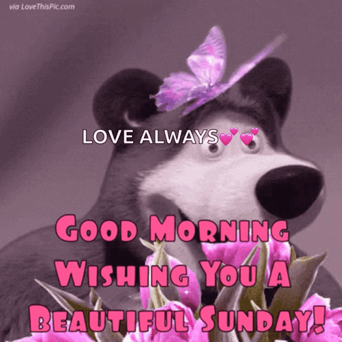 Sunday Good GIF