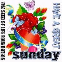 Sunday Have A Great Day At School Tomorrow GIF
