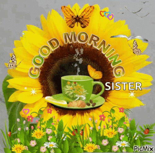 Sunflower Coffee Cup And Butterflies Good Morning Sister GIF