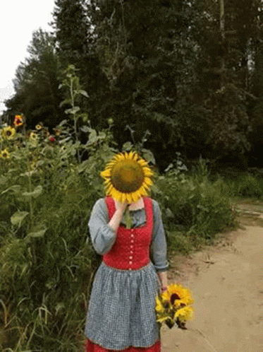 Sunflower Girl Posing GIF
