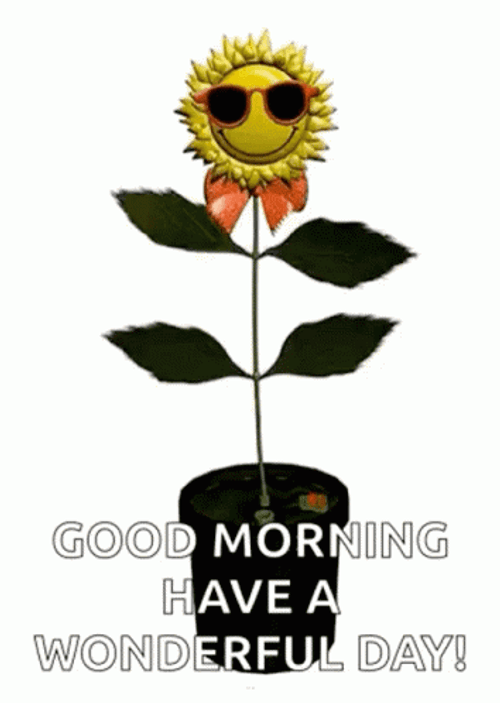 Sunflower Have A Great Day GIF