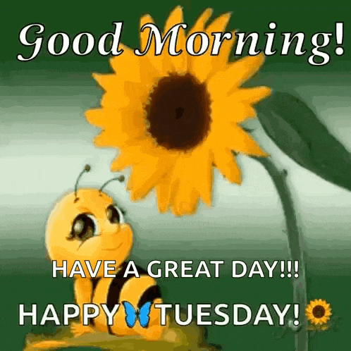 Sunflower Nature Gif GIF