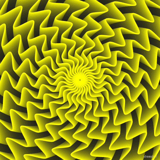 Sunflower Optical Illusion GIF