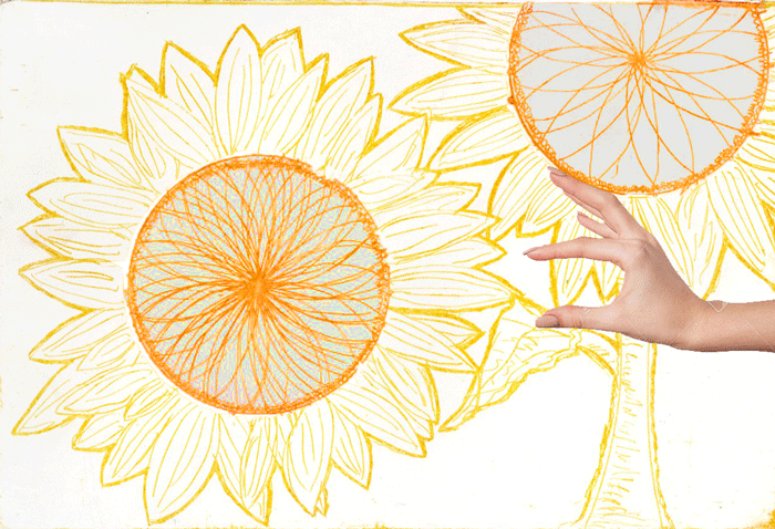 Sunflower Pulling Petal Animation GIF