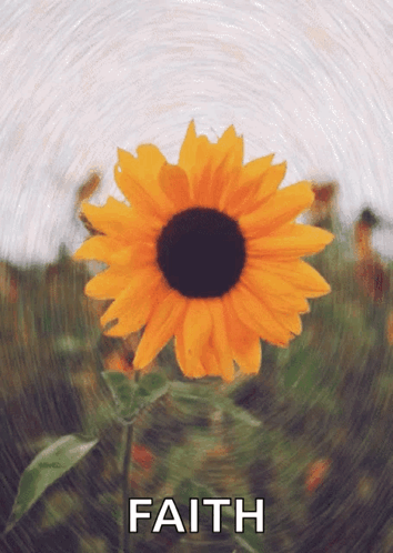 Sunflower Saying Faith