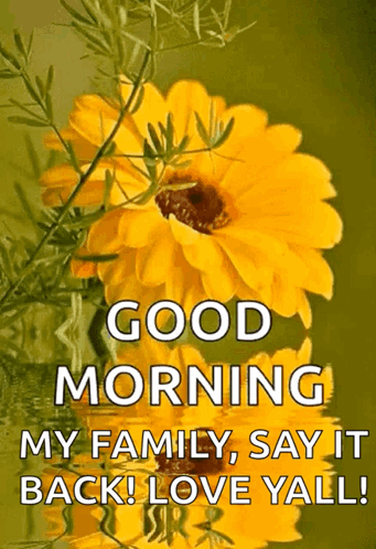 Sunflower Saying Good Morning Love Yall