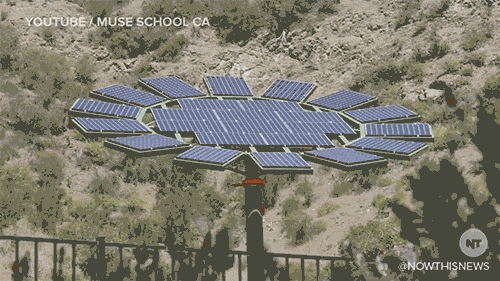 Sunflower Solar Panel GIF