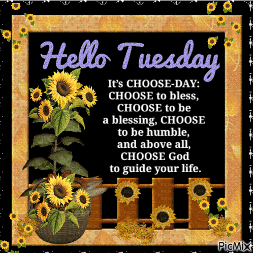 Sunflowers Hello Tuesday GIF